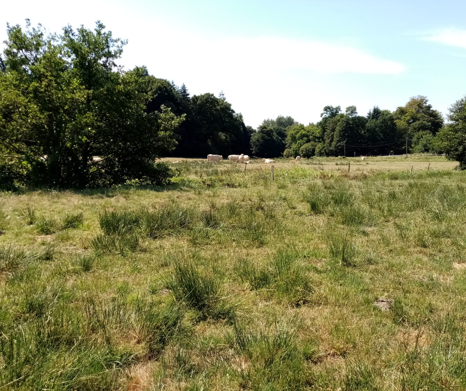 Mesures agro-envrionnementales bretonnes | L’État en recul