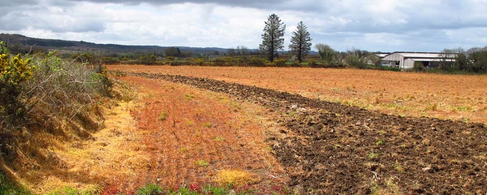 L’autorisation d’un produit à base de glyphosate annulée, quelles implications ?