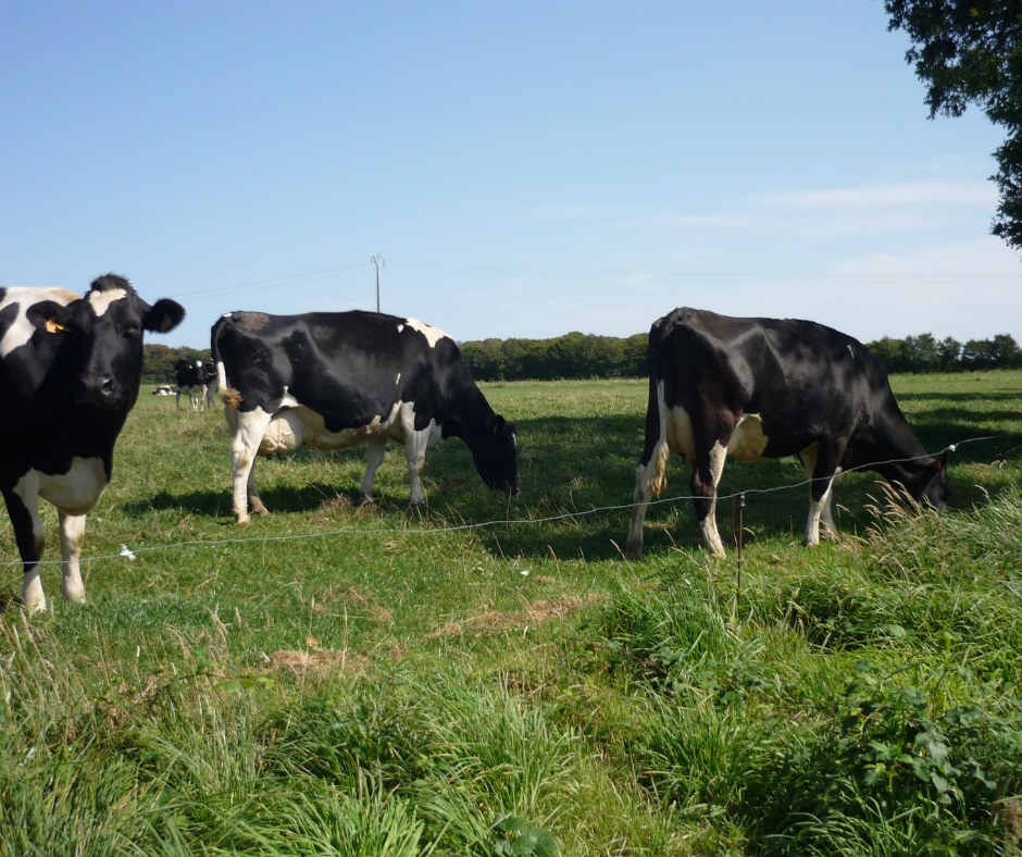 Nouvelles mesures agri-environnementales : L’État n’est pas à la hauteur !