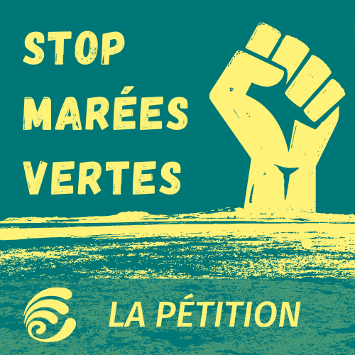 Pétition | Je dis stop aux marées vertes